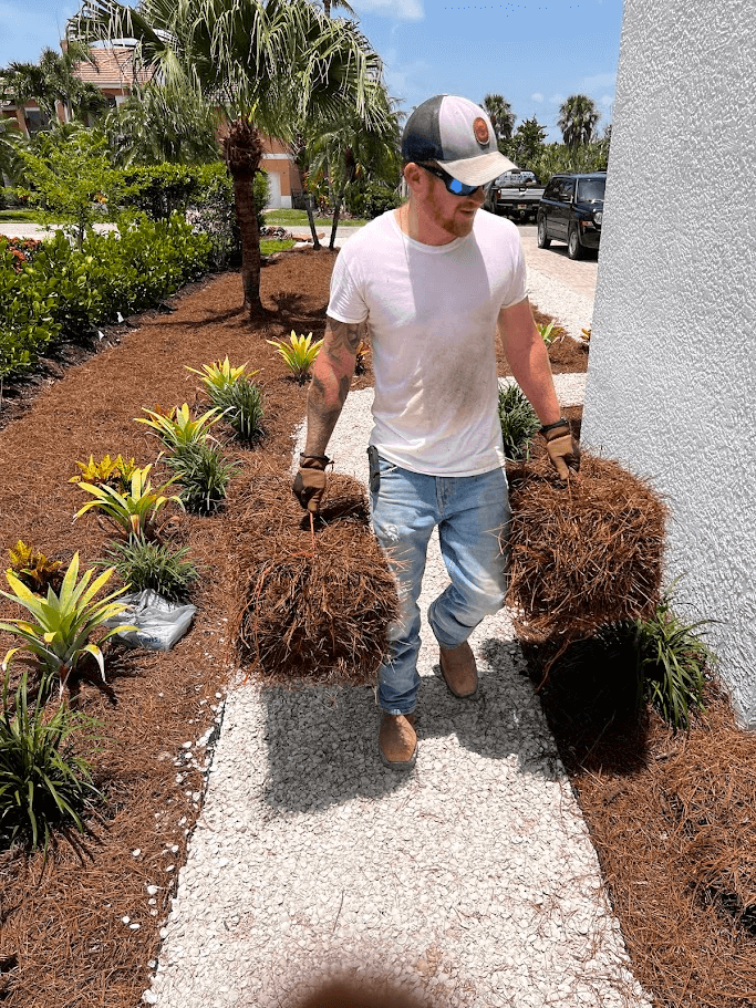 Brandon Image