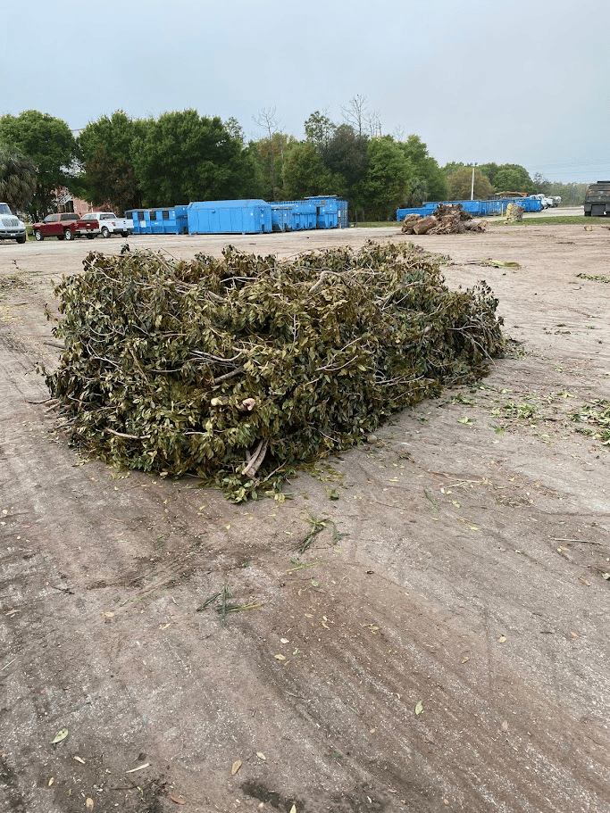 Stacked tree branches and yard vegetation gathered at a debris staging area