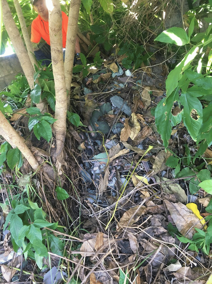 Worker removing buried debris and leaves from a heavily overgrown yard area