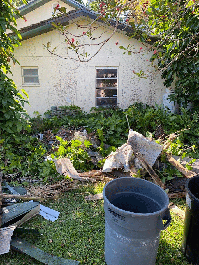 Residential yard with dense vegetation and outdoor debris being cleared
