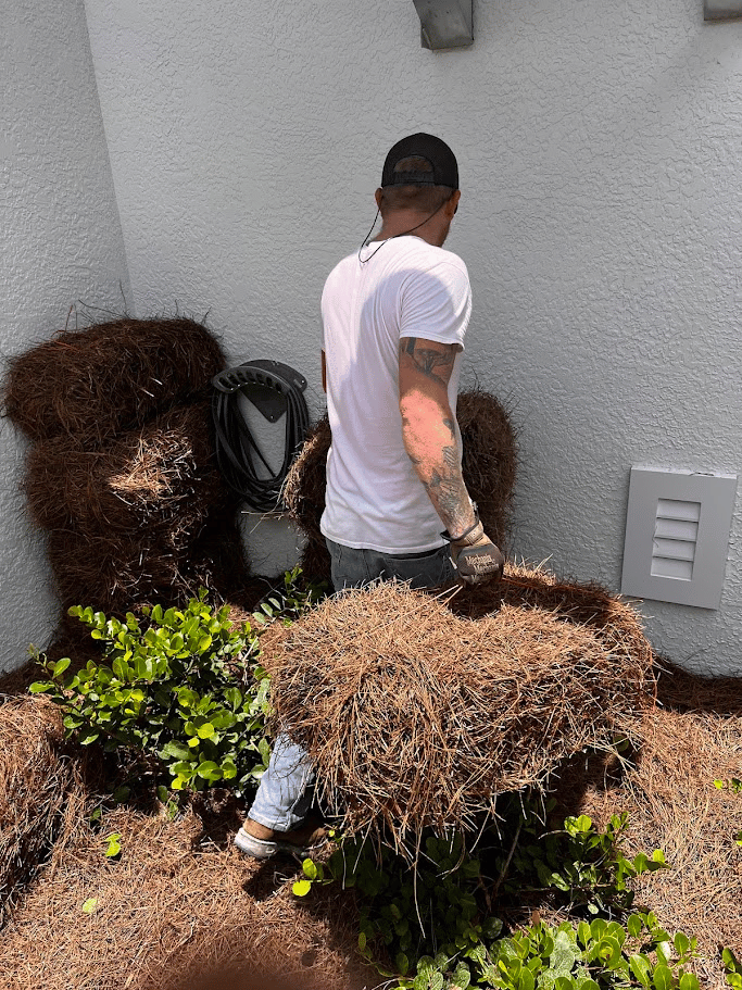 Pure Disposal owner Brandon carrying palm root balls during residential yard debris removal