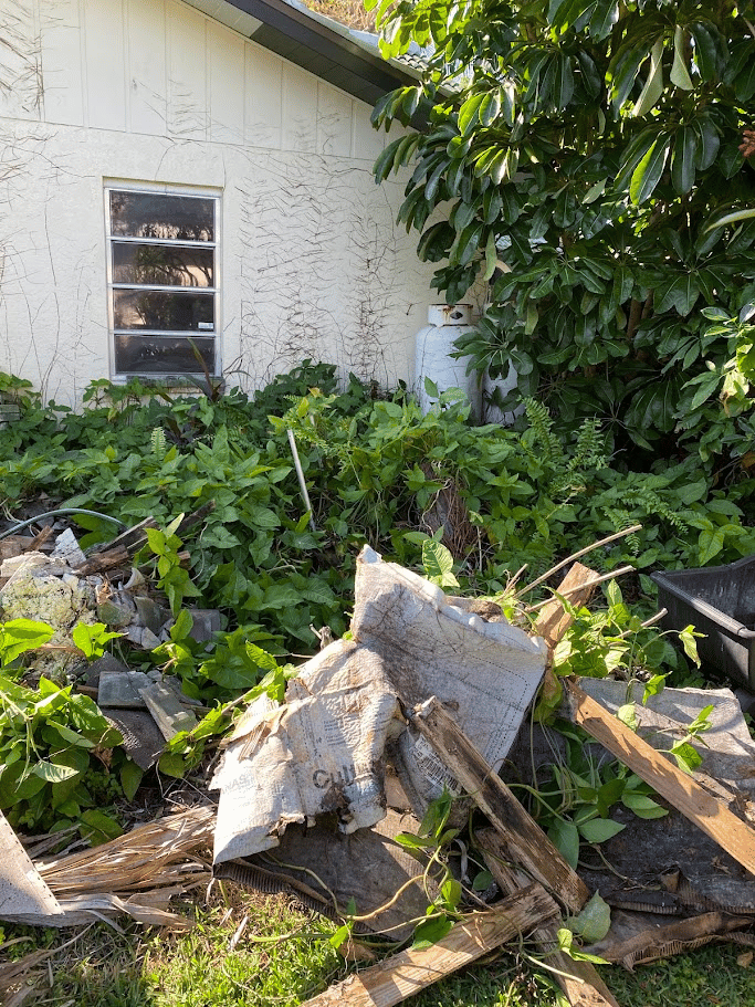 Residential side yard with dense plants and discarded wood materials being cleared