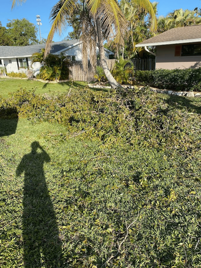 Pile of tree branches and yard debris gathered on a residential lawn